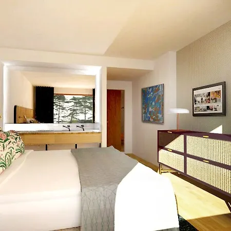 Hanasaari מלון 4*